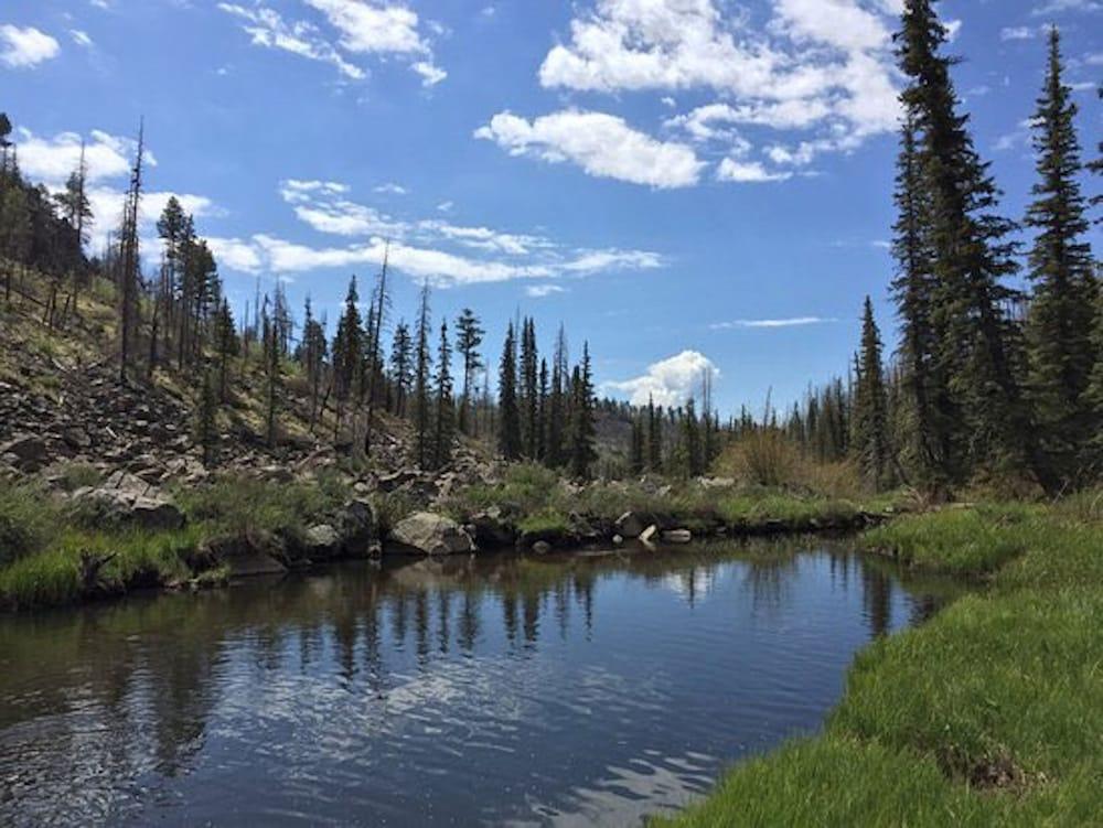 Pinetop Studio Suites Экстерьер фото
